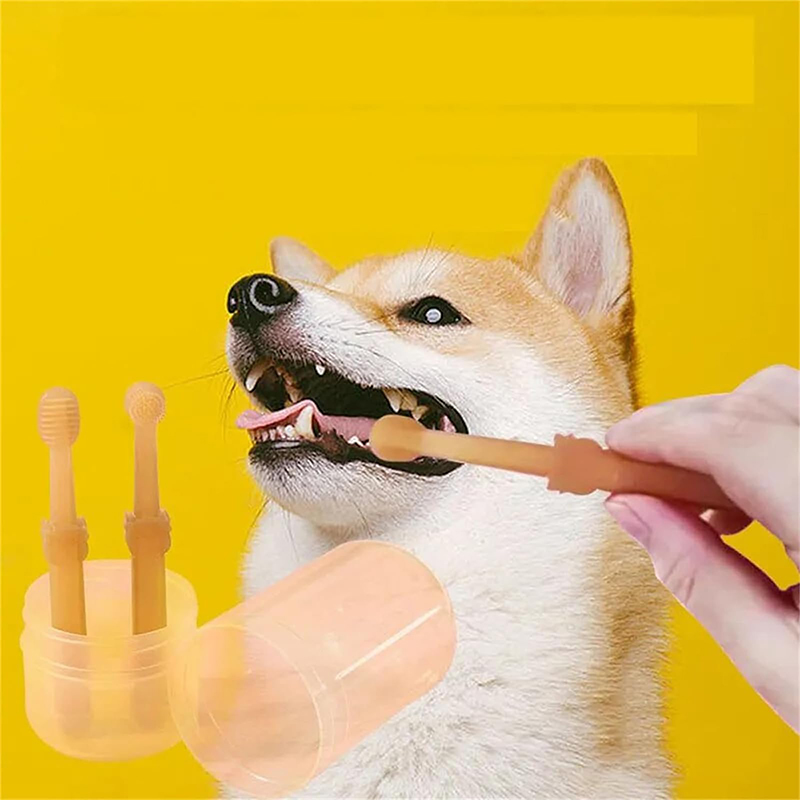 치아 미백 개 고양이 실리콘 소프트 칫솔 구강 관리 강 - Teeth Whitening Kit 리뷰 및 가격