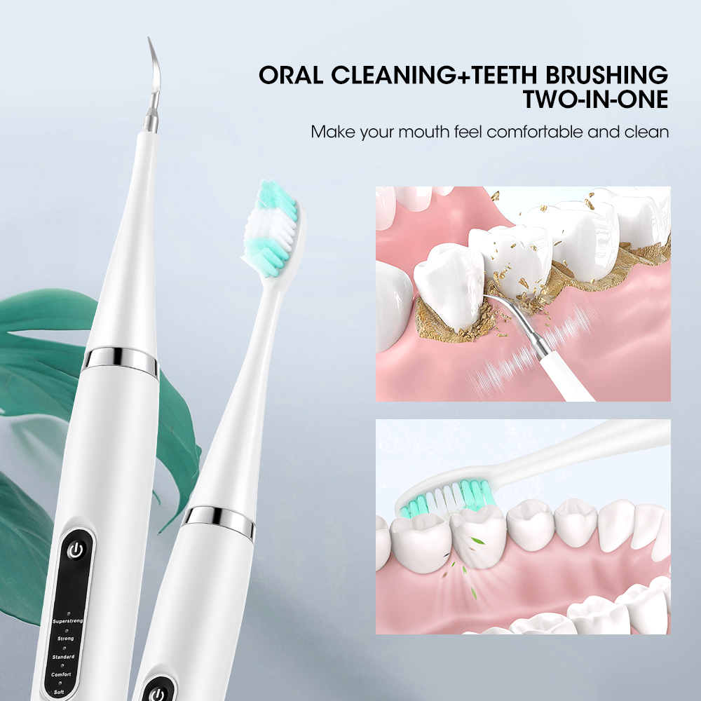 전기 음파 치과 치석 스케일러, 구강 치아 치석 제거기 - Teeth Whitening Kit Professional 리뷰 및 가격